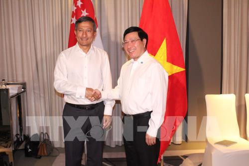 Singapore vows to back Vietnam in transforming industries ảnh 1 Singapore vows to back Vietnam in transforming industries ảnh 1