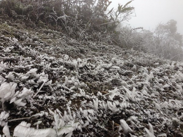 Mu Cang Chai blanketed in ice for third time in one month ảnh 1 Mu Cang Chai blanketed in ice for third time in one month ảnh 1