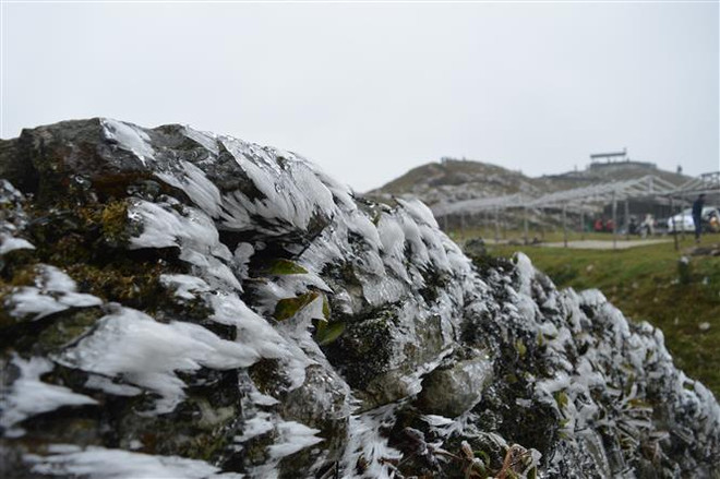 Frost extends in northern region ảnh 1 Frost extends in northern region ảnh 1