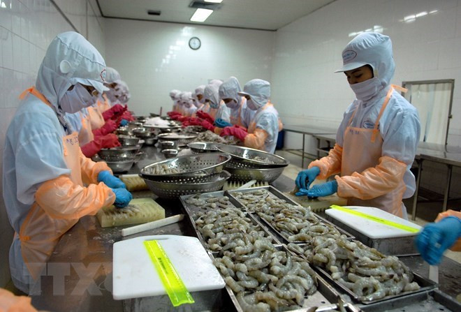 Shrimp exports to RoK expected to rake in 500 million USD ảnh 1