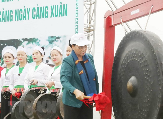 Top legislator launches tree planting festival in Hoa Binh ảnh 1 Top legislator launches tree planting festival in Hoa Binh ảnh 1
