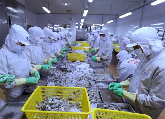 Fisheries sector targets 10 billion USD export value ảnh 1