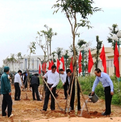 Tree-planting festival greens up localities ảnh 1 Tree-planting festival greens up localities ảnh 1