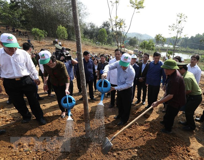 Party, State leader launches Tet tree planting festival in Yen Bai ảnh 1