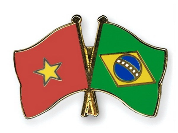 Vietnam strengthens partnership with Brazil ảnh 1 Vietnam strengthens partnership with Brazil ảnh 1