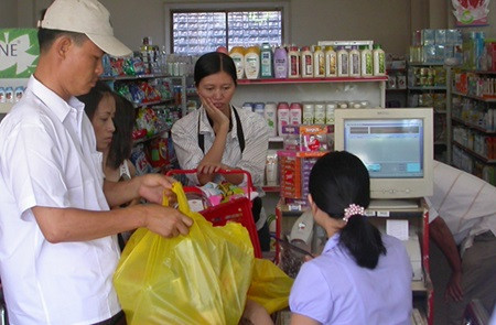 Local customers turn to mini marts ảnh 1