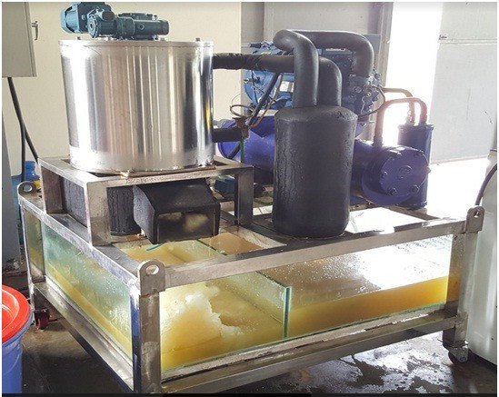 Cool invention makes waves for fisheries ảnh 1 Cool invention makes waves for fisheries ảnh 1