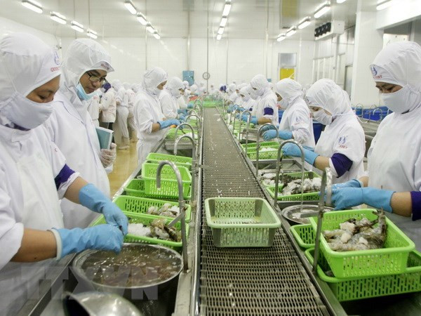 Ca Mau works to achieve 1.2 billion USD in exports ảnh 1