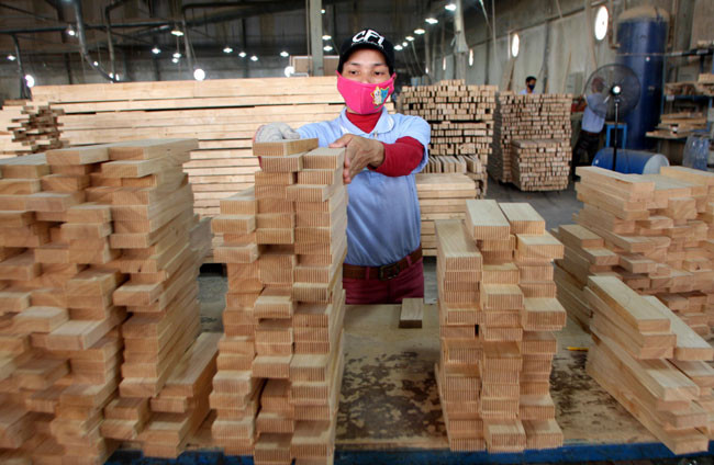 Wood exports expected to hit 8.85 billion USD this year ảnh 1 Wood exports expected to hit 8.85 billion USD this year ảnh 1