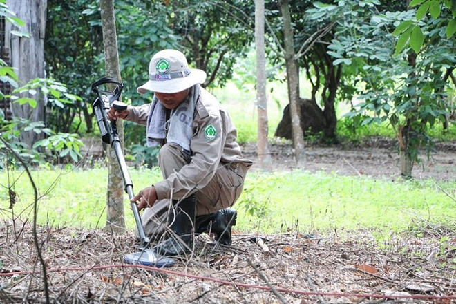Domestic and international efforts boost landmine cleanup ảnh 1 Domestic and international efforts boost landmine cleanup ảnh 1