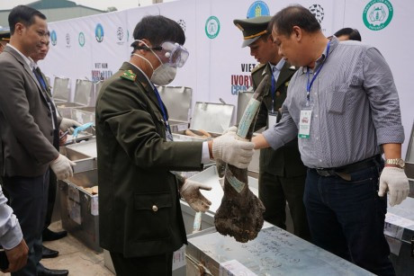 Wildlife trade fight needs community ảnh 1