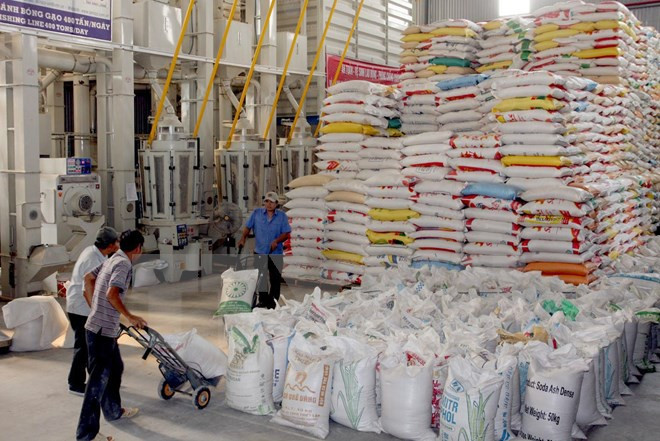 Vietnamese rice to have a national trademark ảnh 1