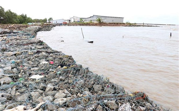 Ca Mau to invest 38.7 million USD to build coastal embankment ảnh 1 Ca Mau to invest 38.7 million USD to build coastal embankment ảnh 1