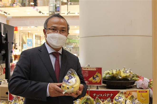 Vietnamese bananas gain a foothold in Japanese market ảnh 1