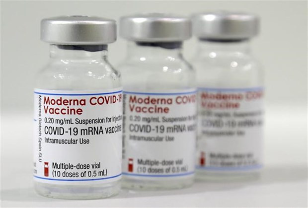 Vietnam conditionally approves COVID-19 Vaccine Moderna ảnh 1