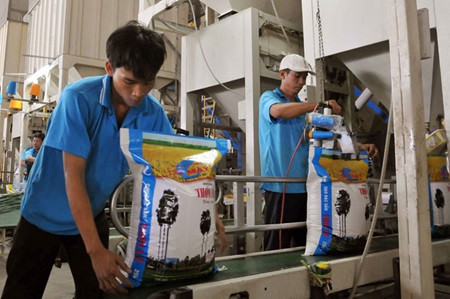 Local rice consumption grows ảnh 1