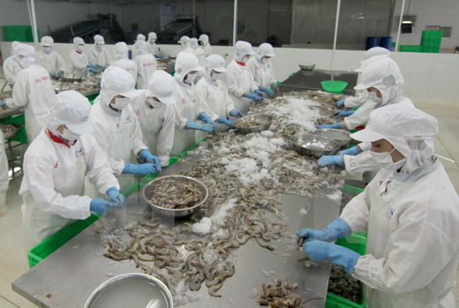 US keeps duties on Vietnamese frozen shrimp ảnh 1 US keeps duties on Vietnamese frozen shrimp ảnh 1