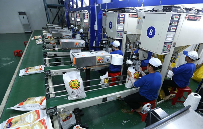 Ministry to strictly manage rice exports via international border gates ảnh 1