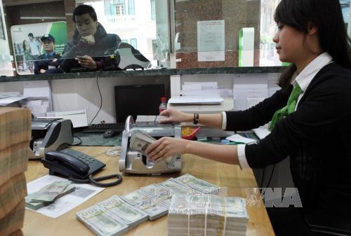 Reference exchange rate up 2 VND at week’s beginning ảnh 1
