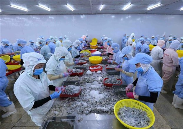 Vietnam’s shrimp exports forecast to reach 3.8 billion USD in 2020 ảnh 1