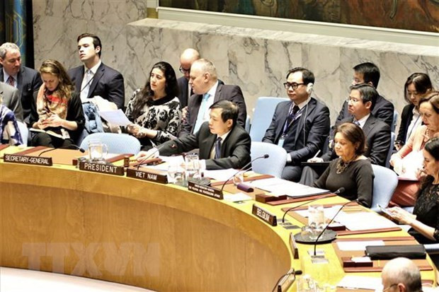 Vietnam supports reform of UNSC working methods ảnh 1