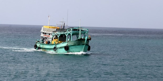 Philippine ship owner compensates for Vietnamese fishing boat collision ảnh 1