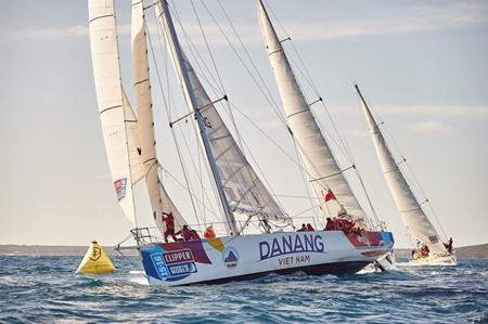 Da Nang counts down to world's longest ocean race ảnh 1