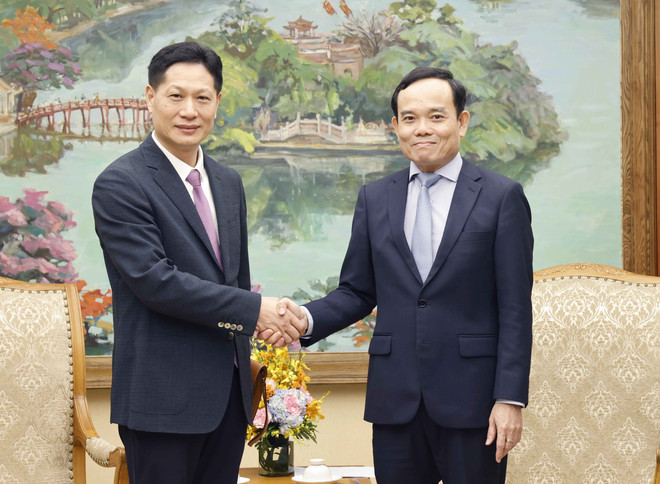 Deputy PM welcomes Chinese business delegation ảnh 1