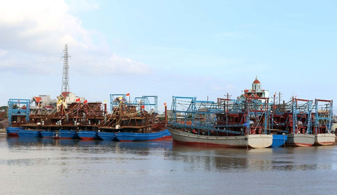 Nam Dinh province resolved to fight IUU fishing ảnh 1 Nam Dinh province resolved to fight IUU fishing ảnh 1