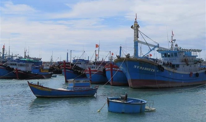 Kien Giang steps up IUU-related communication work ảnh 1