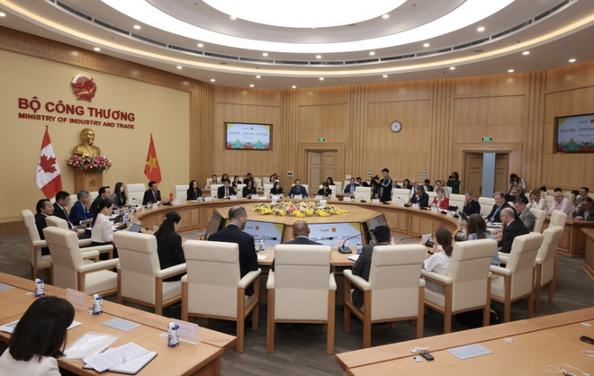 Vietnam, Canada look to boost trade cooperation ảnh 1