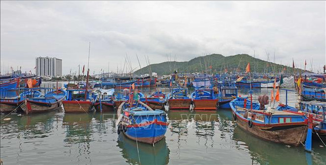 Khanh Hoa ramps up vessel control in anti-IUU fishing efforts ảnh 1 Khanh Hoa ramps up vessel control in anti-IUU fishing efforts ảnh 1