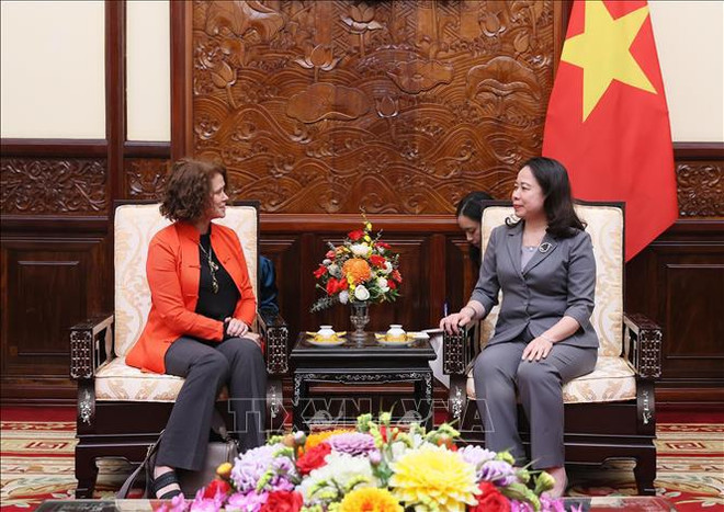 Acting President hosts WB Country Director ảnh 1 Acting President hosts WB Country Director ảnh 1