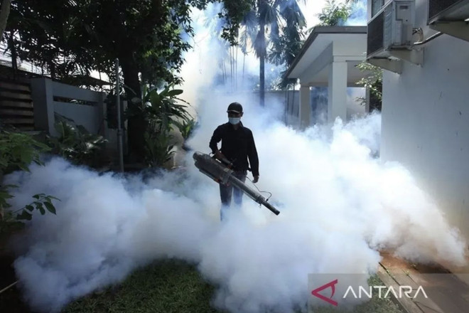 Indonesia logs twofold increase in dengue cases ảnh 1