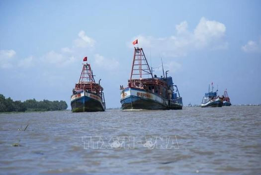 Fishing vessels’ violations of foreign waters gradually curbed: border guard official ảnh 1 Fishing vessels’ violations of foreign waters gradually curbed: border guard official ảnh 1