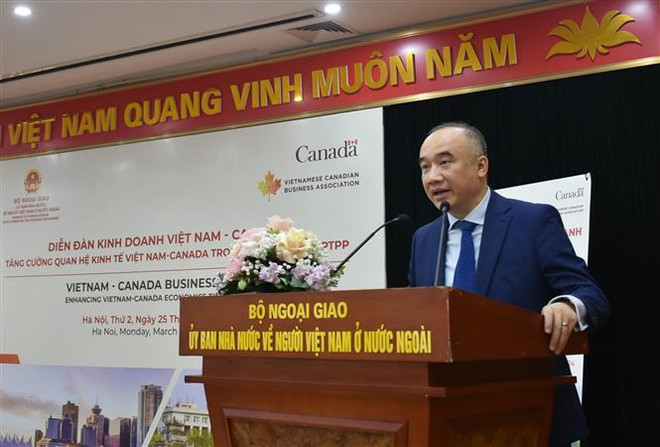 Forum looks to promote Vietnam – Canada economic ties via CPTPP ảnh 1