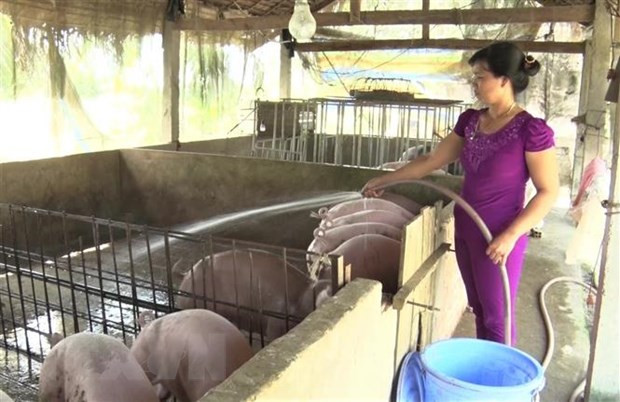 Agriculture sector making all-out effort to complete growth target: Minister ảnh 1