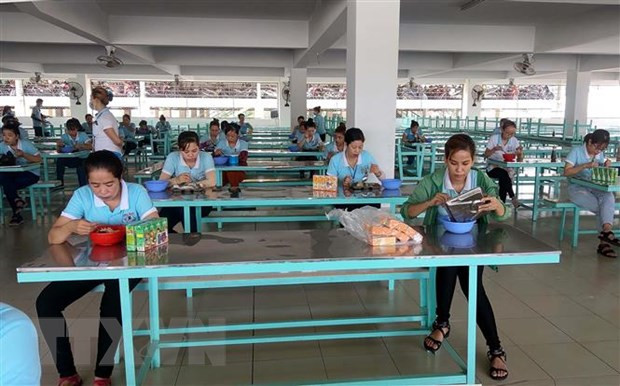 HCM City records low credit growth, high risk of bad debts ảnh 1