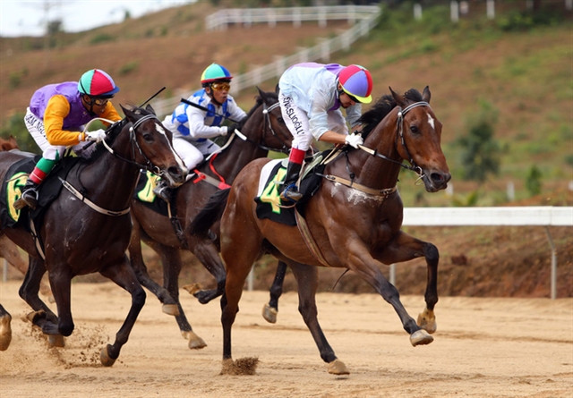 Vietnam should develop gambling industry to boost tourism ảnh 1 Vietnam should develop gambling industry to boost tourism ảnh 1