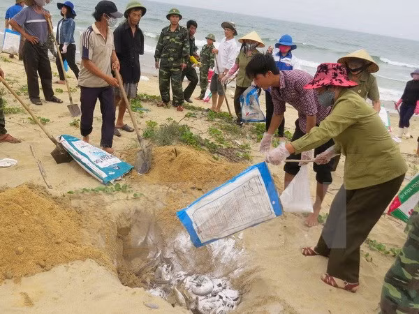 Inspection Commission announces outcomes of 13th session ảnh 1