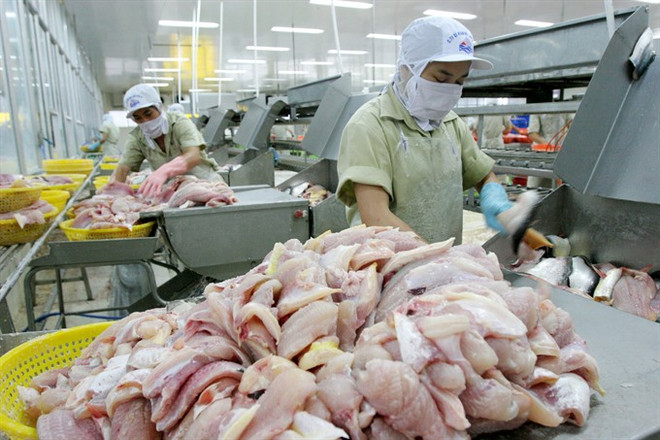 Vietnamese catfish exporters gear up for US inspections ảnh 1