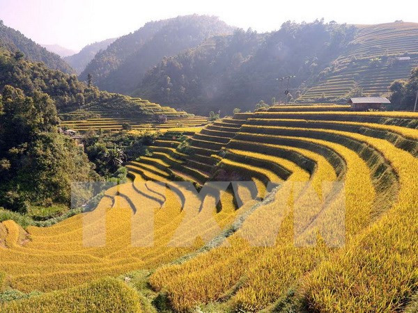 Yen Bai gears up for Vietnam Tourism Year 2017 ảnh 1