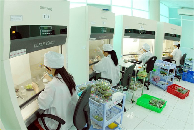 Vietnam’s farm firms seek high-tech ảnh 1 Vietnam’s farm firms seek high-tech ảnh 1
