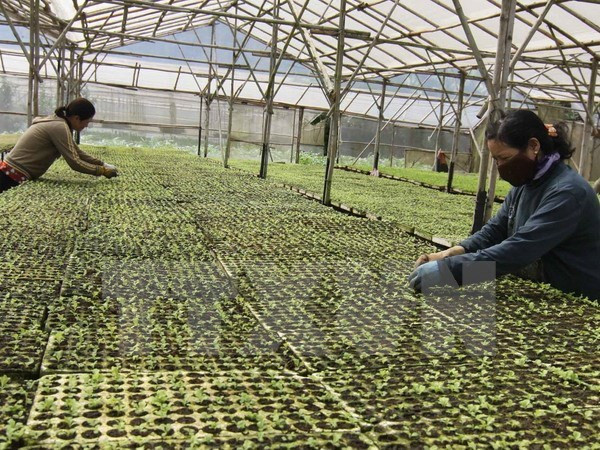 Vietnam to host 10th Asia Pacific Cooperative Minister’s Conference ảnh 1