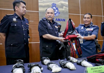 Malaysia works hard on drug combat ảnh 1