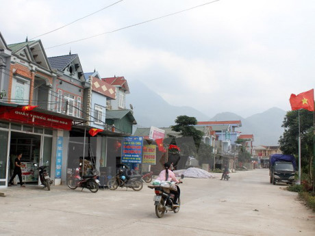 Long An targets 89 new-style rural communes by 2020 ảnh 1