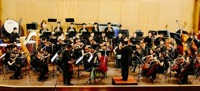 Two concerts feature artists of Vietnam, RoK ảnh 1