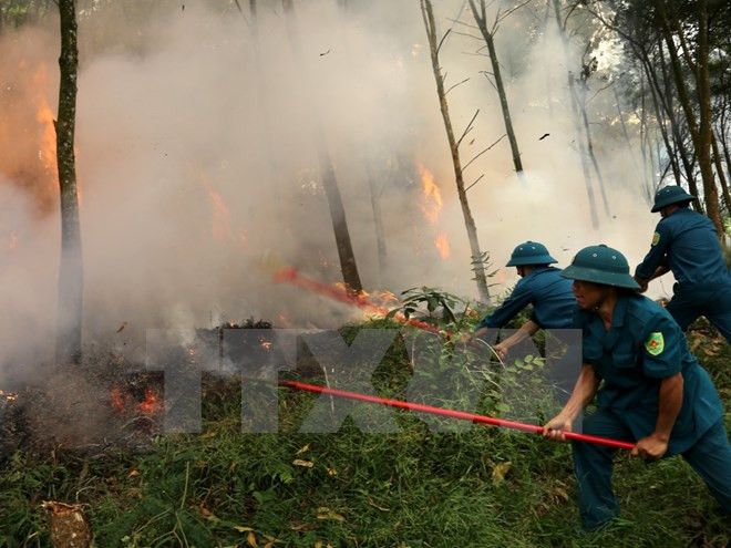 Central Highlands vigilant at forest fires during dry season peak ảnh 1 Central Highlands vigilant at forest fires during dry season peak ảnh 1