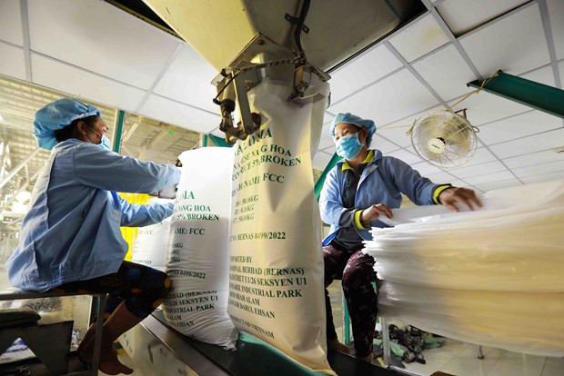 Vietnam promotes rice exports to China ảnh 1 Vietnam promotes rice exports to China ảnh 1