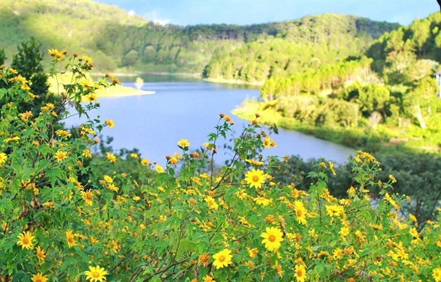 Da Lat aims to become ‘Green Paradise’ through sustainable tourism development ảnh 1